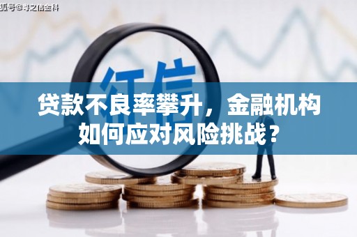 新晃贷款不良率攀升，金融机构如何应对风险挑战？