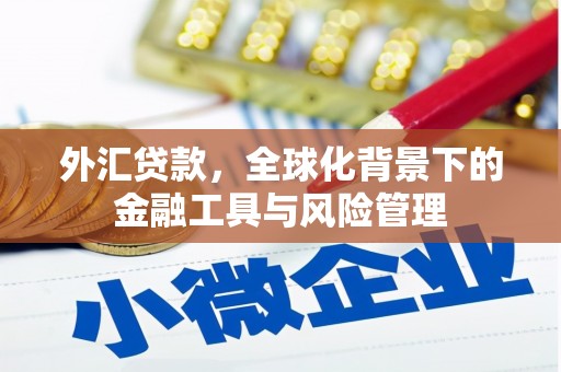 汤原外汇贷款，全球化背景下的金融工具与风险管理